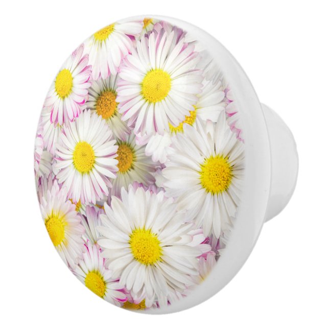 Bouton De Porte En Céramique Patters Pink Purple Daisy Flower (Droite)