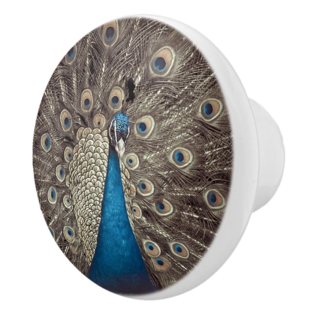 Bouton De Porte En Céramique Peacock bleu antique (Droite)