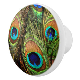 Bouton De Porte En Céramique Peacock Feathers Ceramic Knob