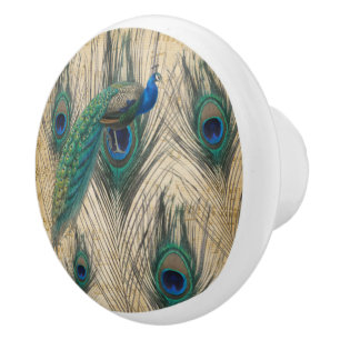 Bouton De Porte En Céramique Peacock & Pecock Feathers W/Music Paper Arrière - 
