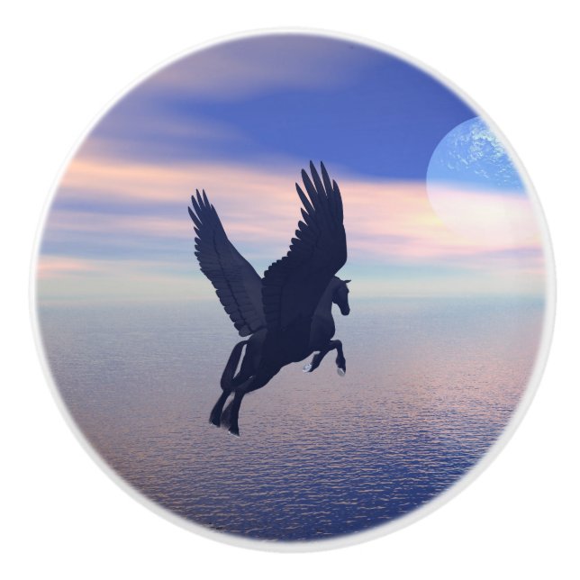 Bouton De Porte En Céramique Pegasus dans le clair de lune (Devant)