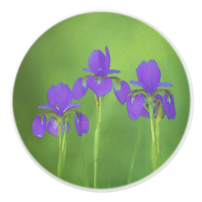 Bouton De Porte En Céramique Peinture Iris Violet - Art Fleur Originale (Devant)