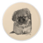 Pekingese