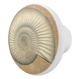 Bouton De Porte En Céramique Perisphinctes Ammonite