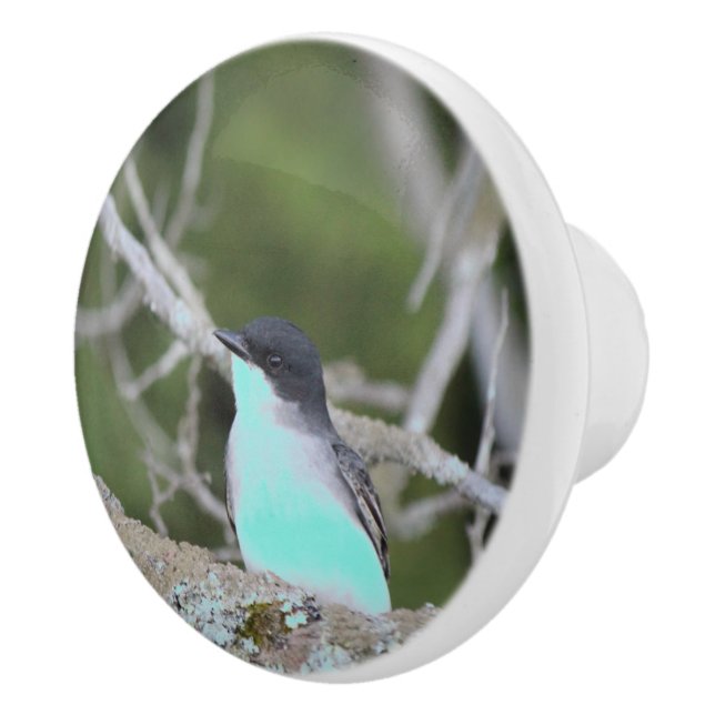 Bouton De Porte En Céramique Petit Oiseau en bleu et vert tiroir Tirage (Droite)