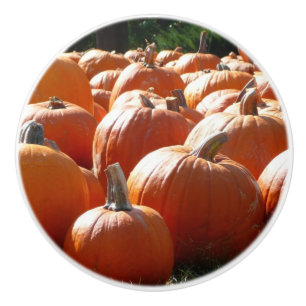 Bouton De Porte En Céramique Photo citrouille pour automne, Halloween ou Thanks