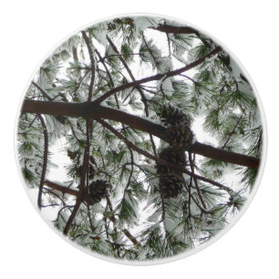 Bouton De Porte En Céramique Photo hivernale sous le pin couvert de neige