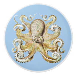 Bouton De Porte En Céramique Pieuvre vintage d'Ernst Haeckel Vie marine nautiqu