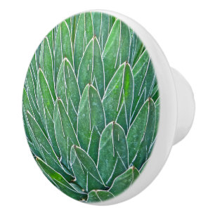 BOUTON DE PORTE EN CÉRAMIQUE PLANTE KNOB/AGAVE CÉRAMIQUE
