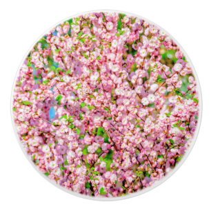 Bouton De Porte En Céramique Plum à fleurs