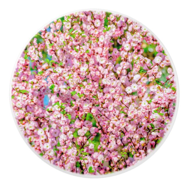 Bouton De Porte En Céramique Plum à fleurs (Devant)