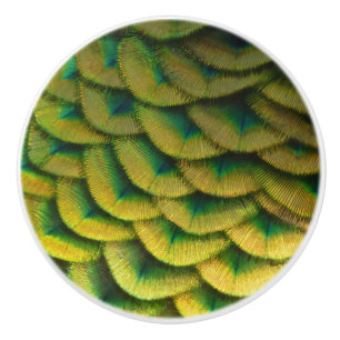 Bouton De Porte En Céramique Plumes de paon II Nature colorée