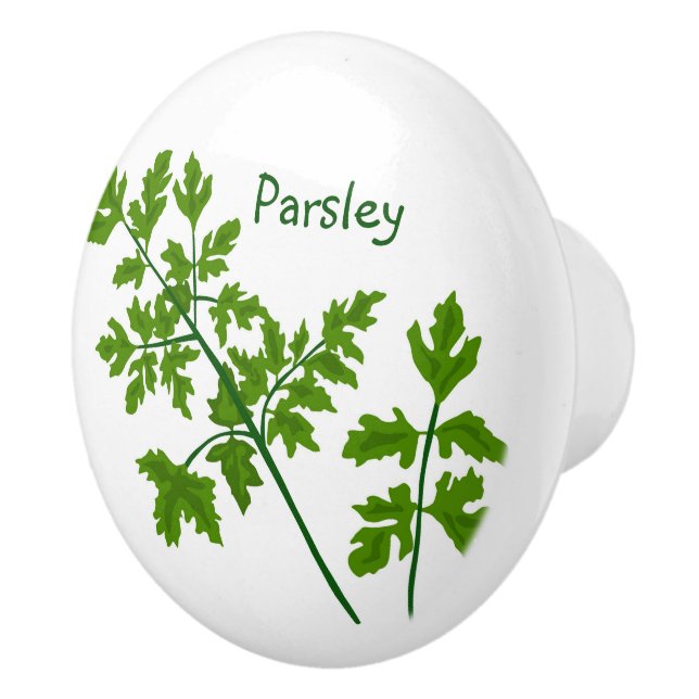 Bouton De Porte En Céramique Poissons de persil Kitchen Ceramic Knob (Droite)