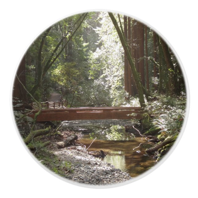 Bouton De Porte En Céramique Pont de Muir Woods II (Devant)