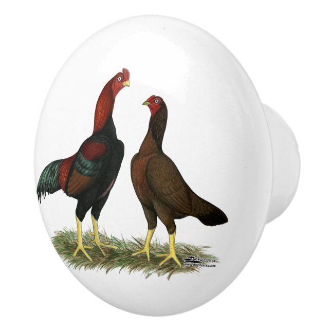 Bouton De Porte En Céramique Poules Aseel Black Red (Droite)