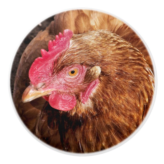 BOUTON DE PORTE EN CÉRAMIQUE POULET CUIT (Devant)