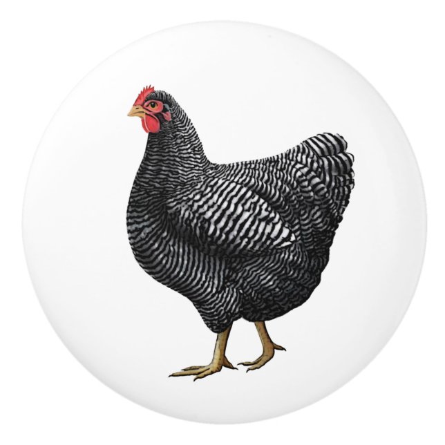 Bouton De Porte En Céramique Poulet d'élevage de poulets Tiroir (Devant)