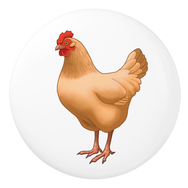 Bouton De Porte En Céramique Poulet d'Orpington (Devant)