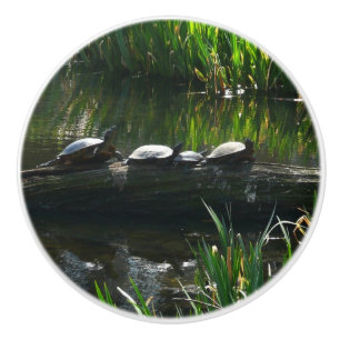 Bouton De Porte En Céramique Rangée de tortues photo de la nature verte