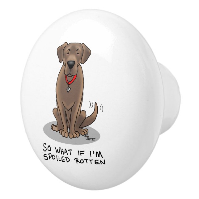 Bouton De Porte En Céramique Récupérateur Labrador du Laboratoire de Chocolat p (Droite)