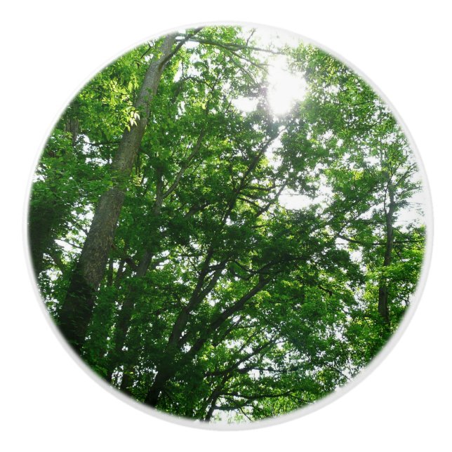 Bouton De Porte En Céramique Regard sur les arbres d'été (Devant)