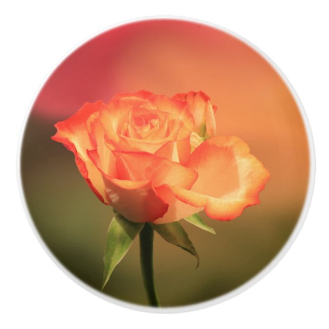 Bouton De Porte En Céramique Romantic Rose (Devant)