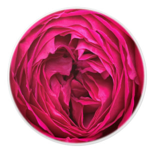 Bouton De Porte En Céramique Rose anglais Magenta