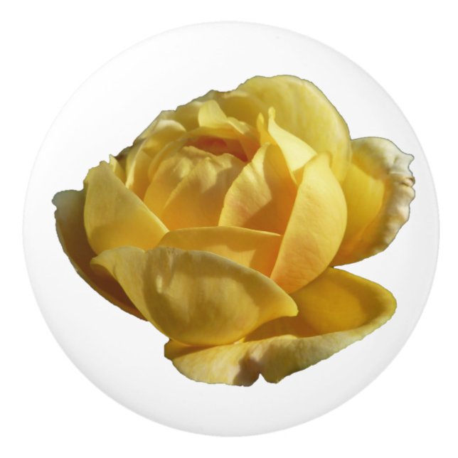 Bouton De Porte En Céramique Rose d'Angleterre (Devant)