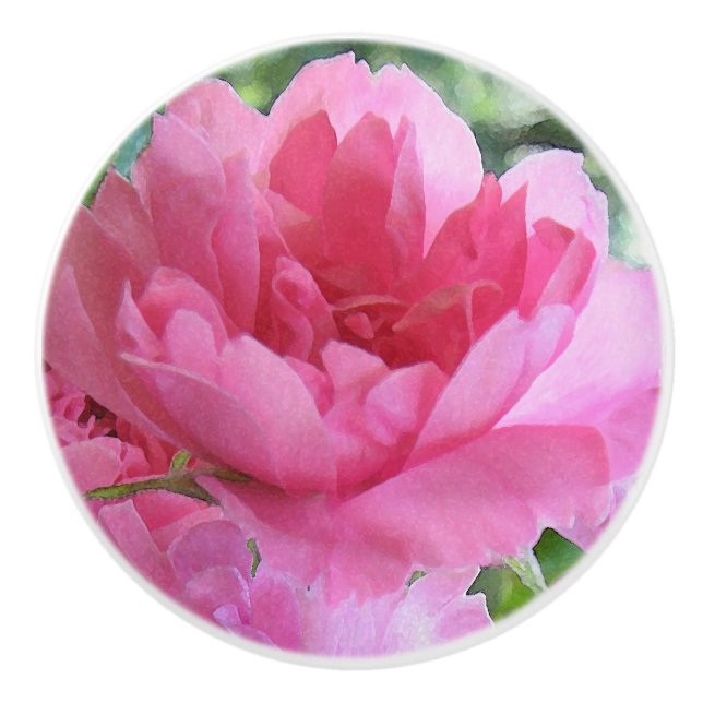 Bouton De Porte En Céramique Rose Fleur Abstrait en céramique Knob (Devant)