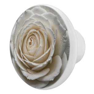 Bouton De Porte En Céramique Rose mouillé blanc gros plan
