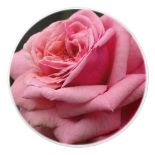 Bouton De Porte En Céramique Rose rose I Jolie photo florale