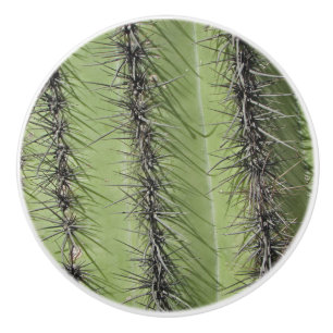 Bouton De Porte En Céramique Saguaro Cactus Photo Bright Green Plante Sud-ouest