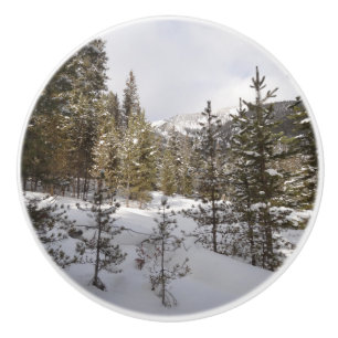 Bouton De Porte En Céramique Scene hivernale de montagne neige au Montana