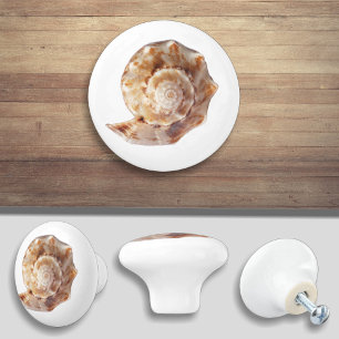 Bouton De Porte En Céramique Seashell Beach Ocean Shell
