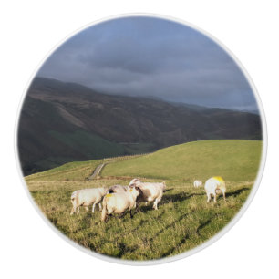 BOUTON DE PORTE EN CÉRAMIQUE SHEEP