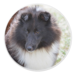 Bouton De Porte En Céramique Sheltie noir et blanc