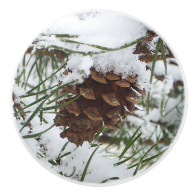 Bouton De Porte En Céramique Snowy Pine Cone I (Devant)