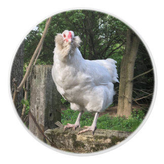 Bouton De Porte En Céramique Snowy the Ameraucana poule-gauche de la cuisine ti