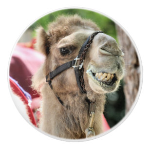 Bouton De Porte En Céramique Sourire