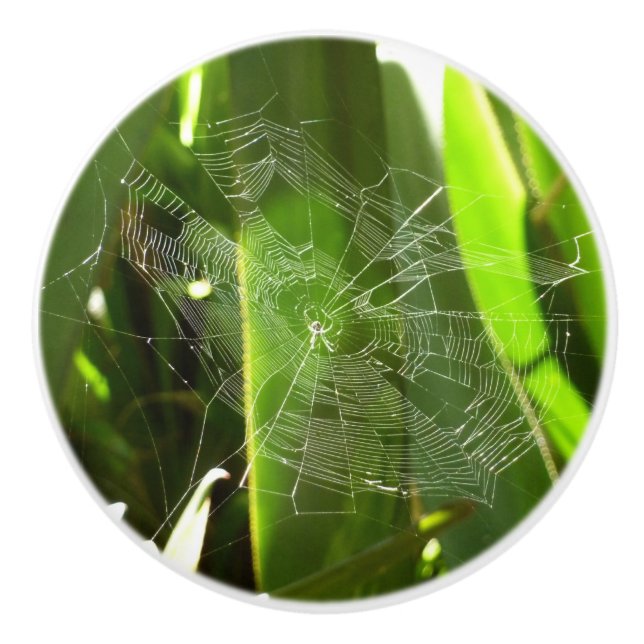 Bouton De Porte En Céramique Spiderweb dans Tropical Leaves Nature (Devant)