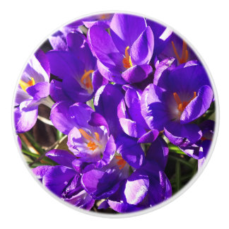 BOUTON DE PORTE EN CÉRAMIQUE SPRING CROCUS