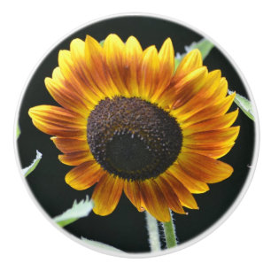 Bouton De Porte En Céramique Sunflower Ceramic Knob
