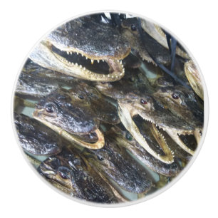 Bouton De Porte En Céramique Tête de l'alligator