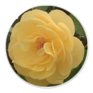Bouton De Porte En Céramique Tirage en céramique Camellia jaune