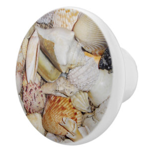 Bouton De Porte En Céramique Tiroir de coquillages