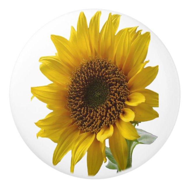 Bouton De Porte En Céramique Tournesol (Devant)