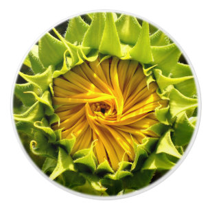 Bouton De Porte En Céramique Tournesol fermer