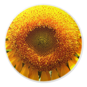 Bouton De Porte En Céramique Tournesol jaune mammouth géant