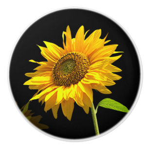 Bouton De Porte En Céramique Tournesol lumineux sur l'arrière - plan noir