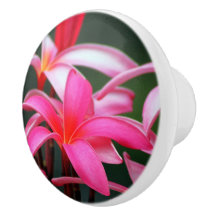 Traction de tiroir de Plumeria